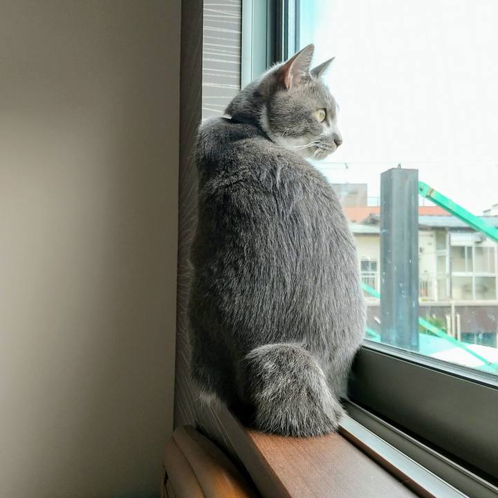 E0d501eb aa4f 4fe8 b8a0 fba415c809ad 1623549747953