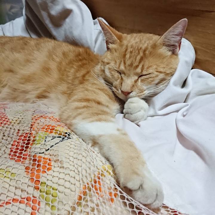 E0d53bd6 7642 49bd a968 764eb88858f0 1591366154220