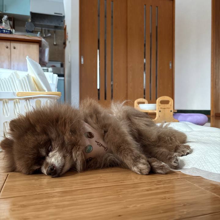 E0d53d2a ab39 42b1 bce6 46bca48f3da9 1768114491367