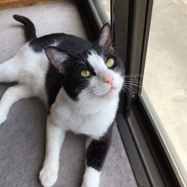 E0d5422c 98c5 47dd afac 6d78403611c0 1683099880468