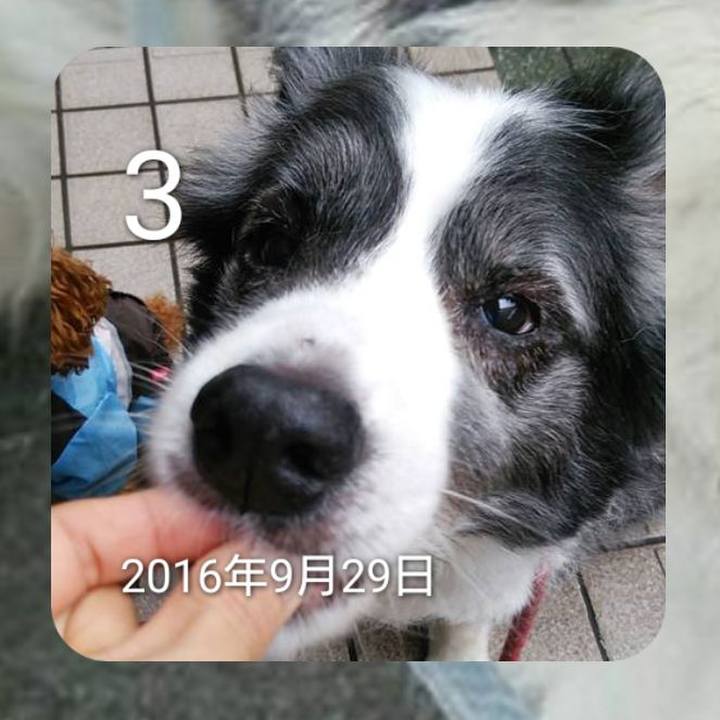 E0d558c6 e204 4e3c afa9 010f305c77c6 1664751077537