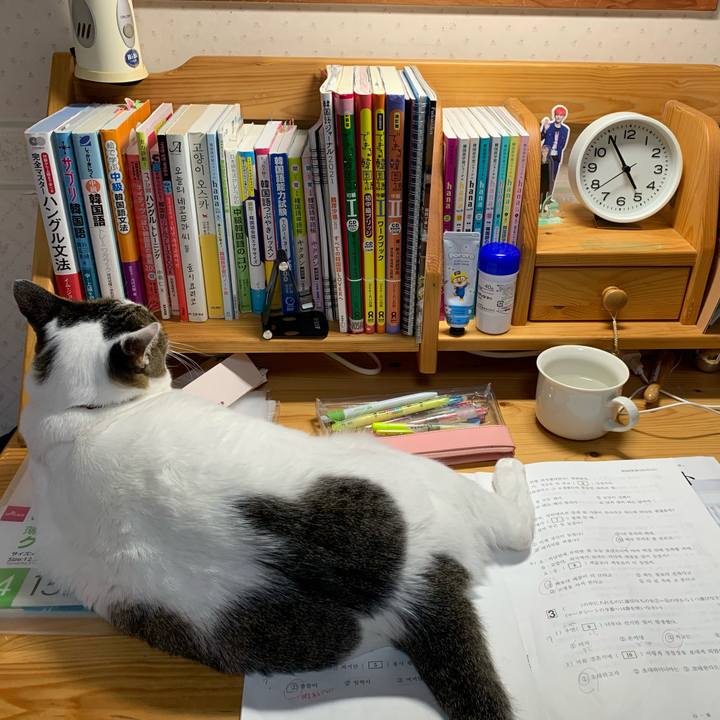 E0d5b3fe 933c 48fa 9ab6 a675eab48589 1636919907975