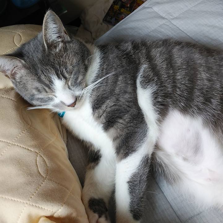 E0d5c0b6 d41d 463c 9f81 b0cb859969d2 1586217856098