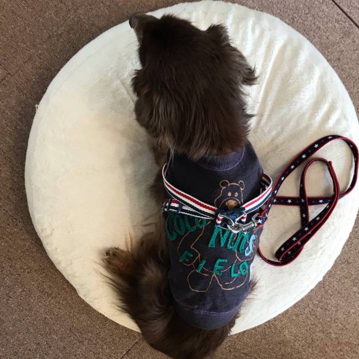 E0d5e825 5d04 4359 ac98 e1aad67f62c9 1705273002690