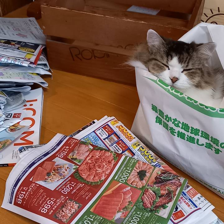 E0d60237 e74b 499e b274 67b9c06f73ac 1638754238298