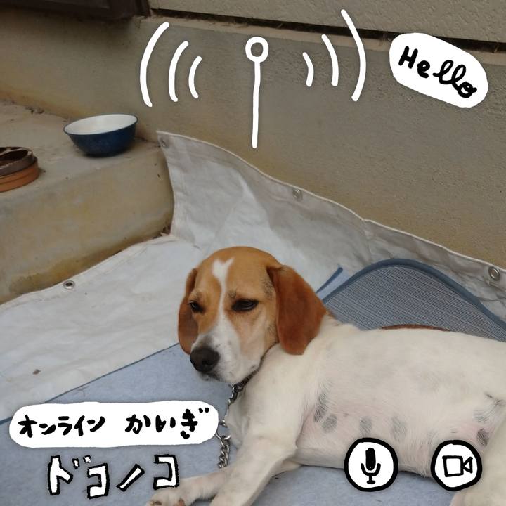 E0d61c99 8f5c 45a7 92a0 b8b9fed6a83d 1592807586110