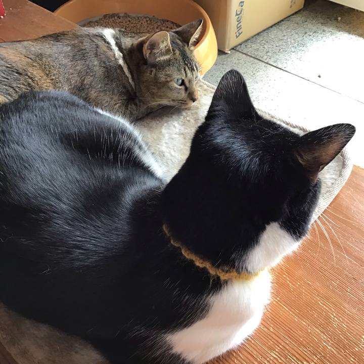 E0d6311d 77a5 4012 9e69 8e79ae54dbef 1647831536965