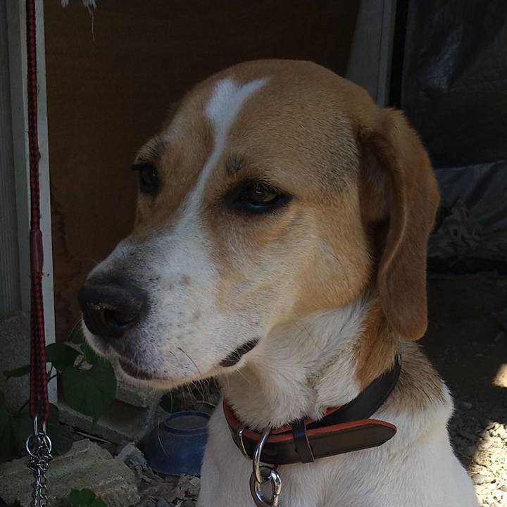 E0d65ace 5753 4ce7 af4d 87fb31604e34 1623496316259