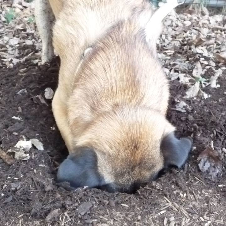 E0d66b59 ac6b 4b78 b1c7 625090e92f1b 1576749882671