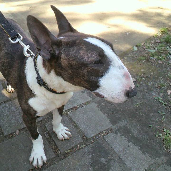 E0d67afb a92e 42c4 9075 0ae2b0329030 1584689963756