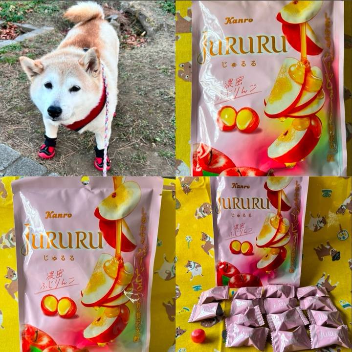 E0d68585 50ea 4f40 8da4 d213646586b3 1736059220633