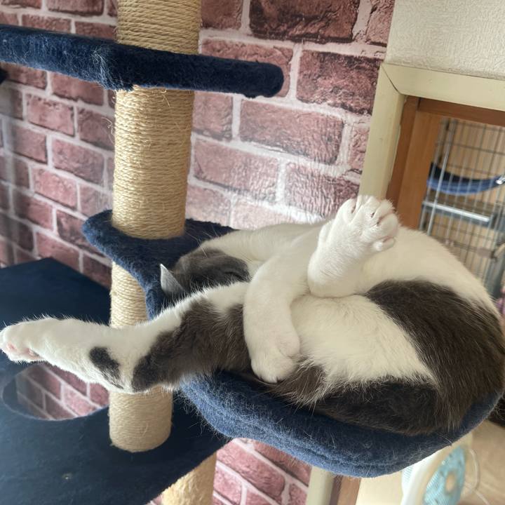 E0d6966e dc82 4efb 810a 682e687a0426 1669519578614