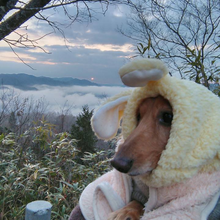 E0d69d13 6f8d 471e b01f 1eed55573fbd 1672820428480