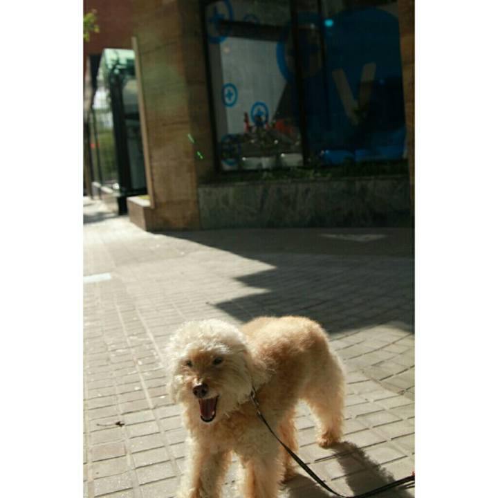 E0d6dd35 6f81 4d6a 8e78 4ddbfe09427b 1588584546664