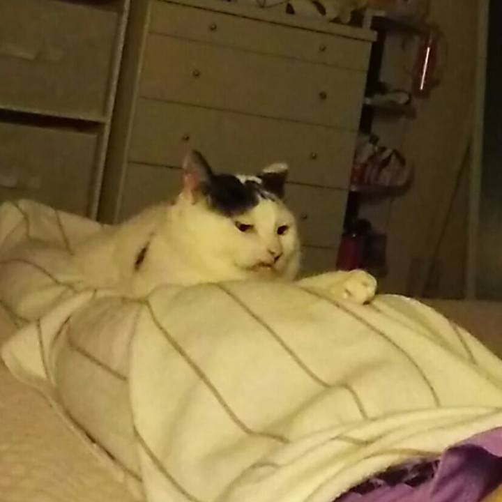 E0d6e64a 3dfb 453c ab4e c5cbb36d0e57 1540387632526