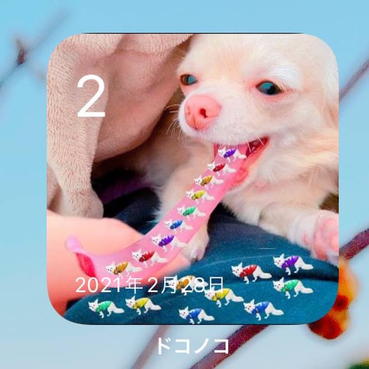 E0d7070c 5d74 42e7 a8ce 715995af5953 1646205046996