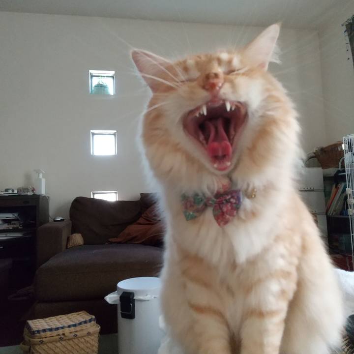 E0d71d03 46b1 4fed b138 8c07b6e6d4f0 1631346642052