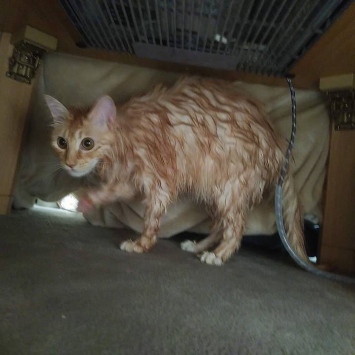 E0d71f09 0dae 4231 9263 69b21c71e40b 1638679189179