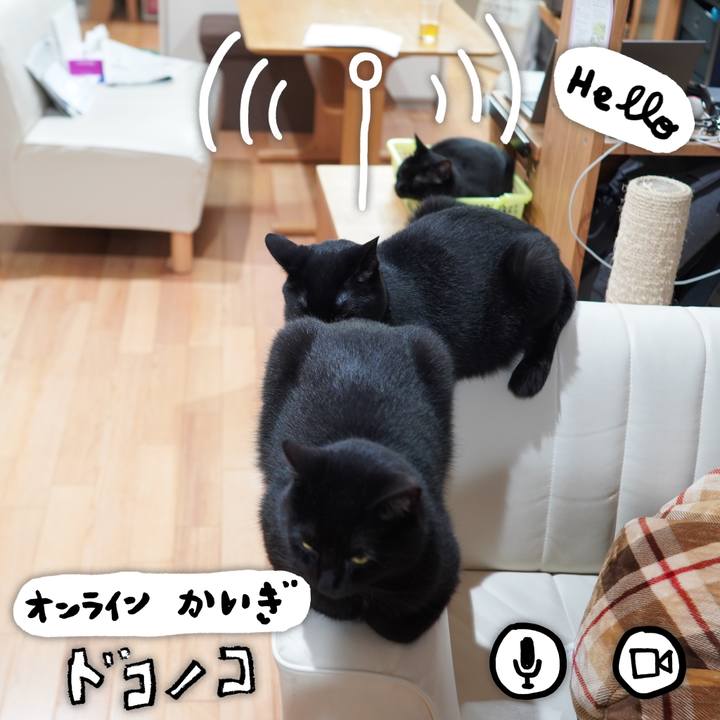 E0d73cbb 7e0e 42bb 818c d6e27699660c 1590758324373