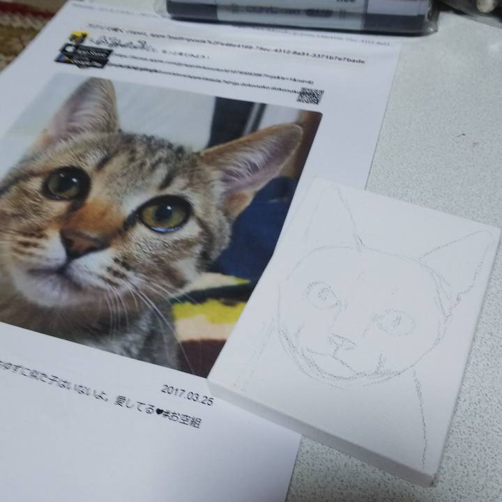 E0d768ab f16b 4771 aa7b 3c1831837b61 1549858831512