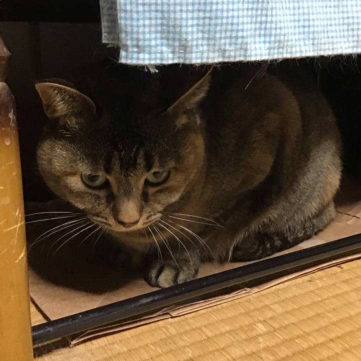 E0d77c22 7825 46c1 bc06 825772214262 1736848458572