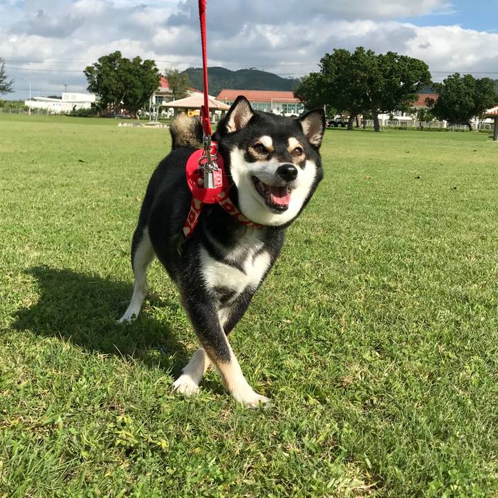 E0d77f00 797e 4f88 9089 db20ef86480c 1512352012668