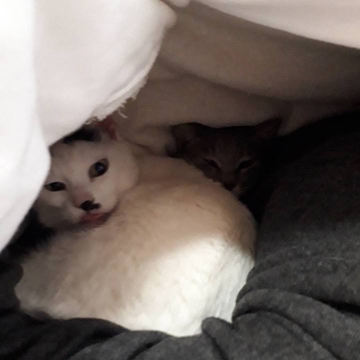 E0d7caef 73aa 4017 bf1f 7d5674cdba01 1641903442792