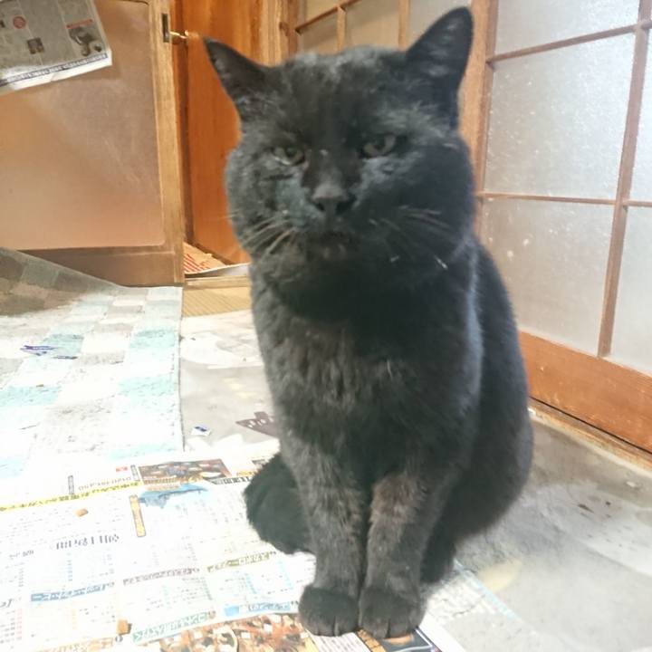 E0d7f078 1b44 4a53 a734 3368daf3a215 1649924964882