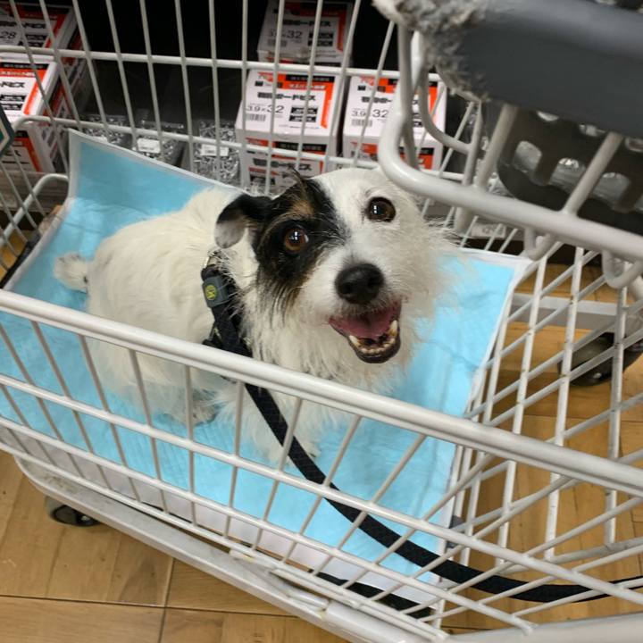 E0d7fcf8 8d37 45cb b124 4d5df513ad22 1662261368600