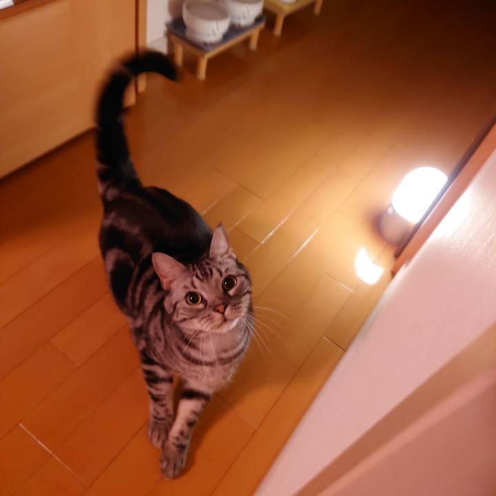 E0d80123 1ed8 458b a35b e67354520af0 1635777414148