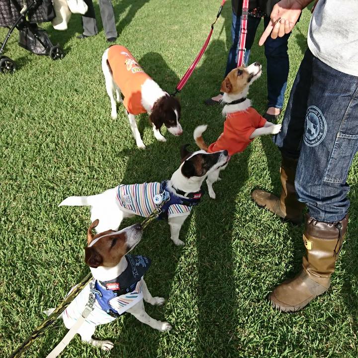 E0d80b20 1c35 4000 82df 110234ee2260 1537602445236