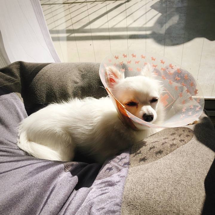 E0d80d98 dc06 4a8f 900a a7a414b0960d 1542683125604