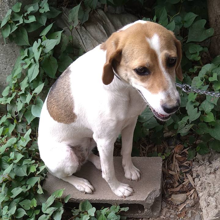 E0d81022 b173 44b8 8ebf 7559e4464ef8 1625566989679