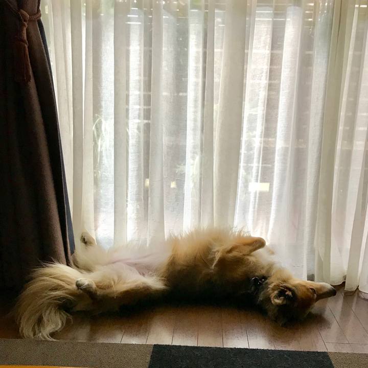 E0d81e8b fe5f 4b75 bbcb 8826322b8d77 1533691428765