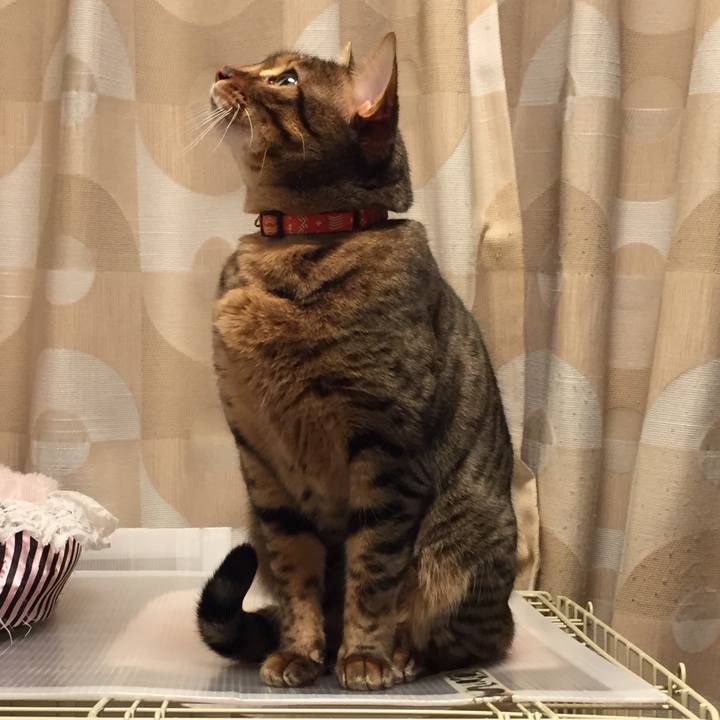 E0d84d6a 7a0c 470f 9546 f56343e3ee3e 1524012975773