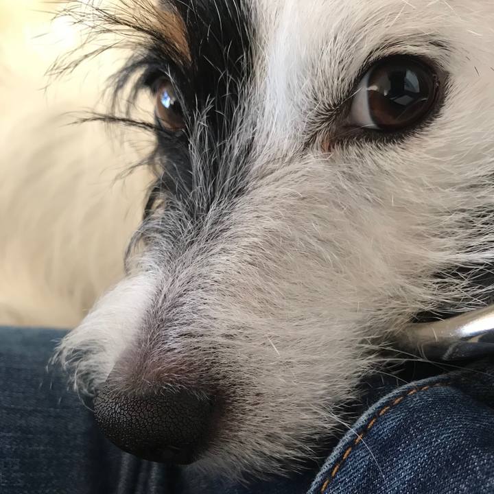 E0d85cc6 106c 4c2b 9069 abeb2b85b8ab 1540797134419