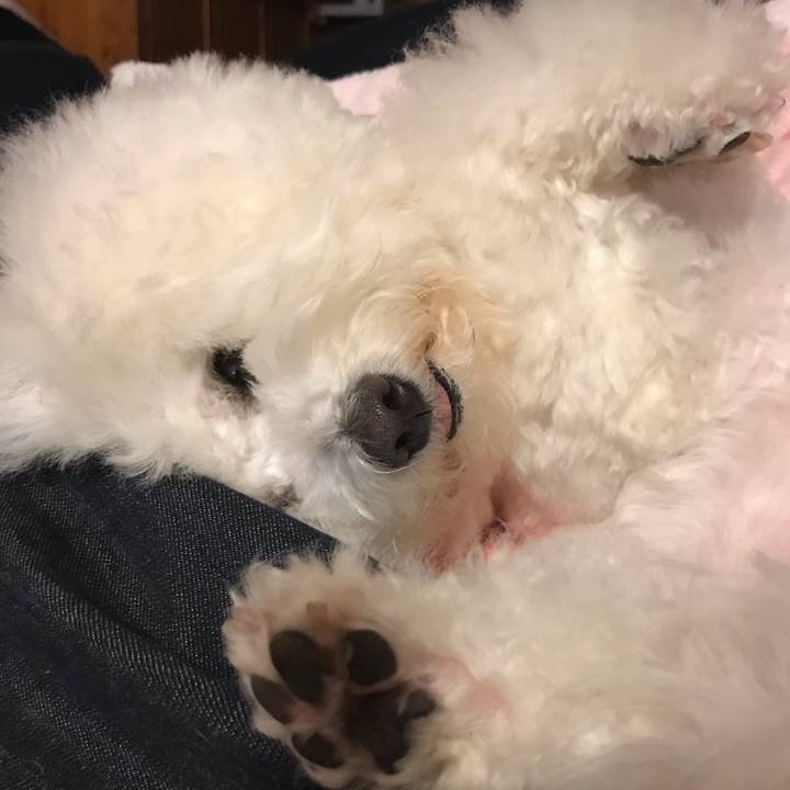 E0d8880a c6b4 4b60 a677 65ce918a0440 1586180601598