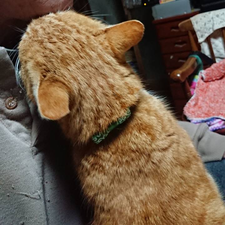 E0d89156 8f9d 4c44 93b2 393950e2609c 1580327666209