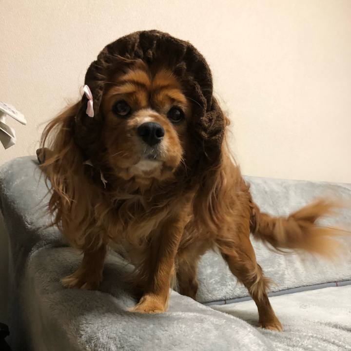 E0d8d16f 8a21 46a4 b72c 05bfce4d6339 1641131357100