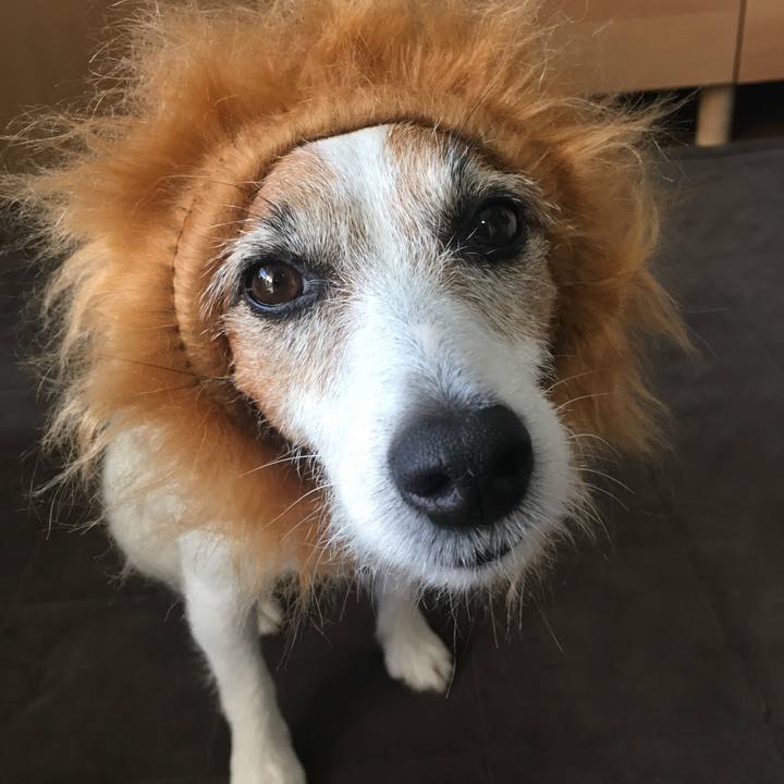 E0d8f427 fa43 4bda 8bde c2bc86c9fee1 1572390310968