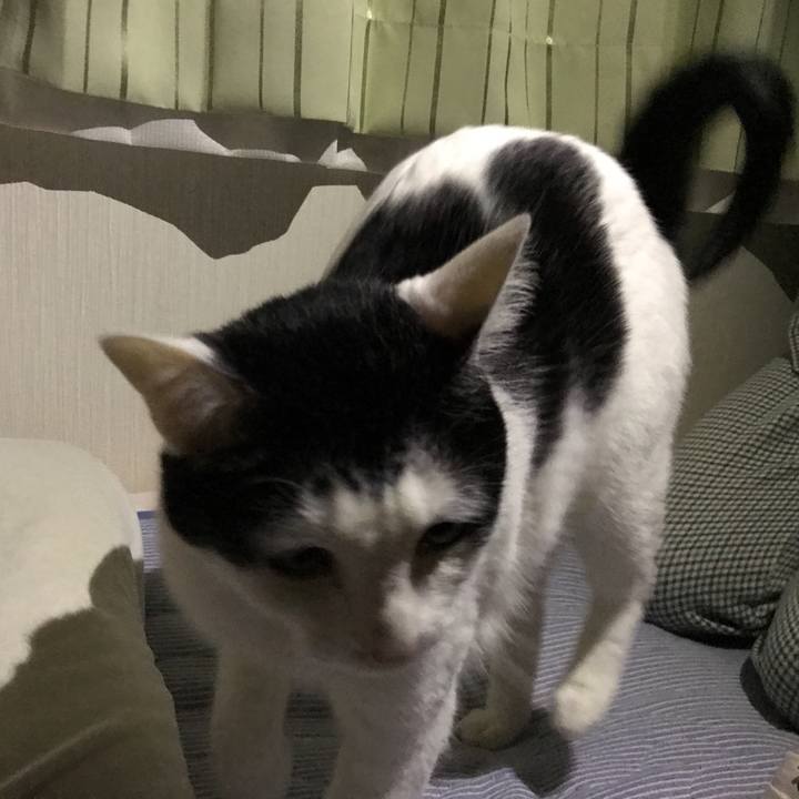 E0d90571 9cee 4e56 867c 1cb1fadacd54 1525878376460