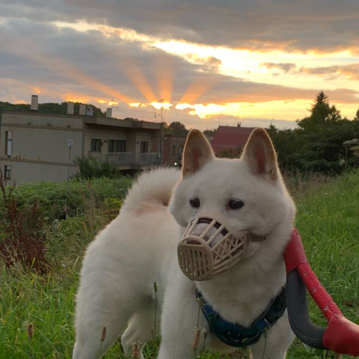 E0d92f71 40ed 4eac 9a11 c6773f2ad6b3 1661718485854