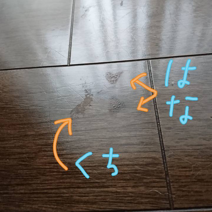 E0d94463 fd1b 4977 a09c e40d0440e9c1 1561955503762