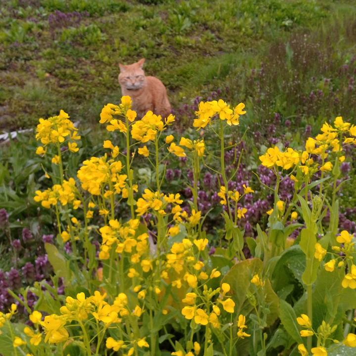 E0d965e7 85ca 4f48 8aaf 09f63242be20 1681856490696