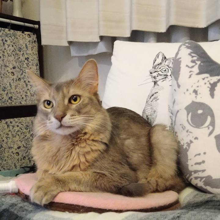 E0d97795 dc4c 4292 80a2 f9dc085342e2 1606809608557