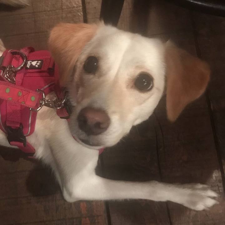 E0d99bf0 db42 40b9 b012 e973a3cfa039 1533309493271