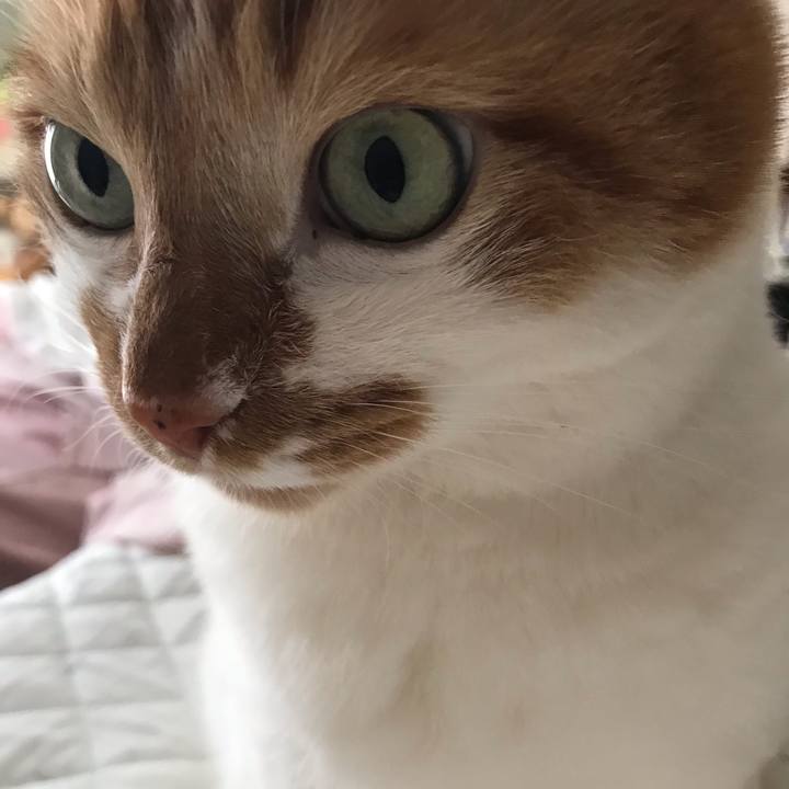 E0d9a40c 0227 444f 9c38 2e0b46c323aa 1558217961121