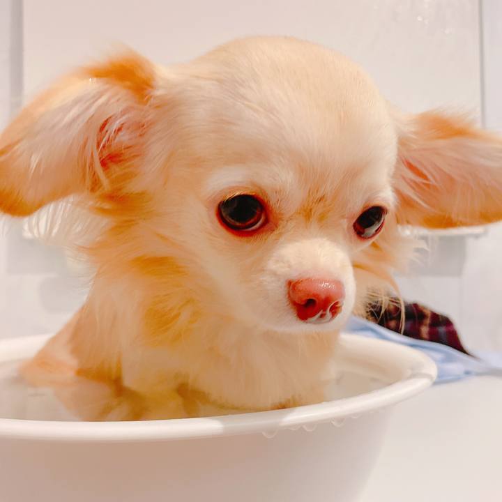 E0d9c0ef 291b 41d9 9541 f31895a3f9fa 1637983910446