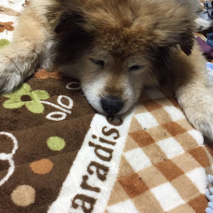 E0d9c27b b358 40da bf15 9a0adb9743e2 1616418193797