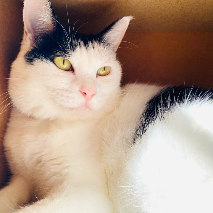 E0da0b3e 76e3 4452 a14f 1a4988971173 1695546325933